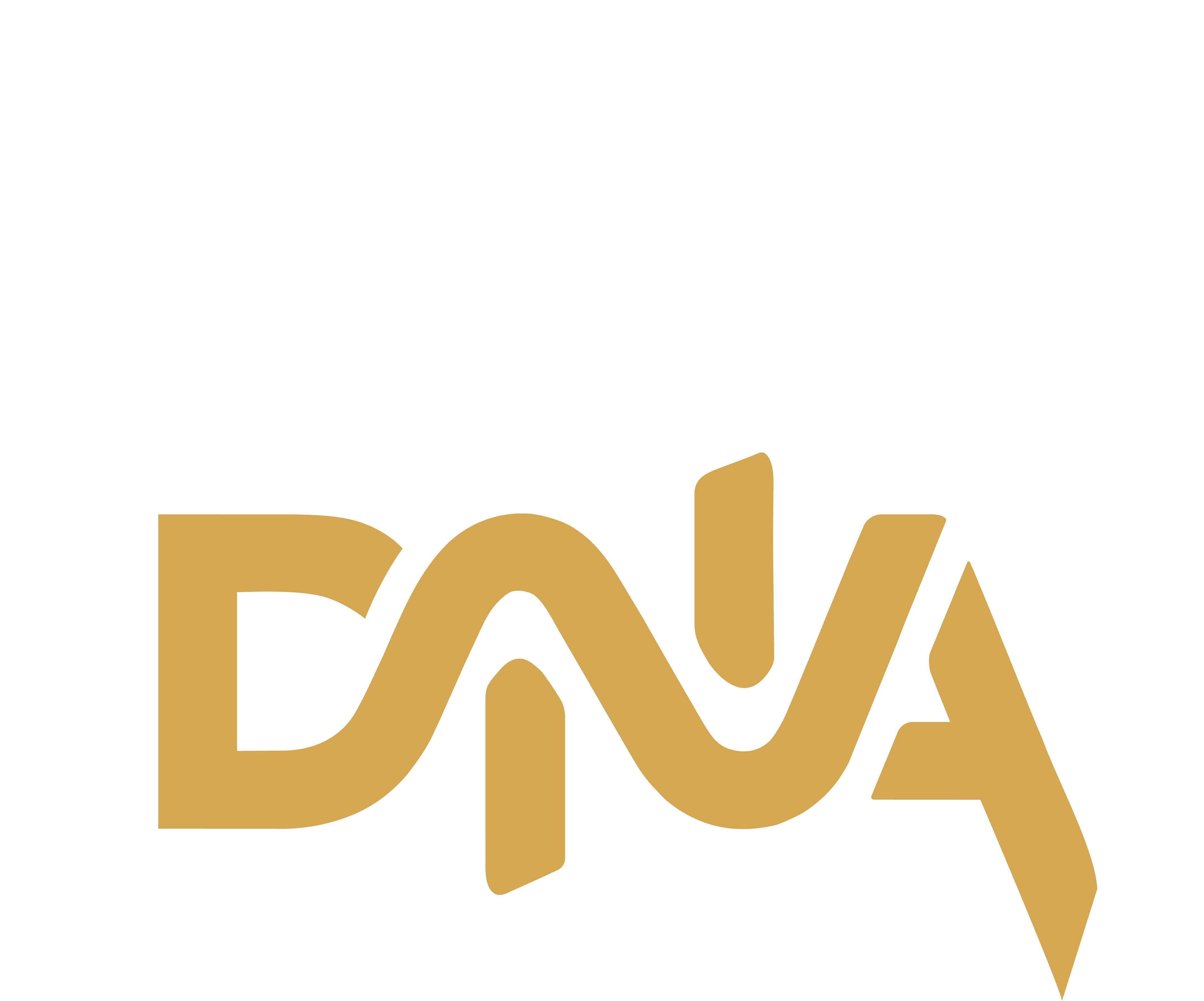 Daily DNA